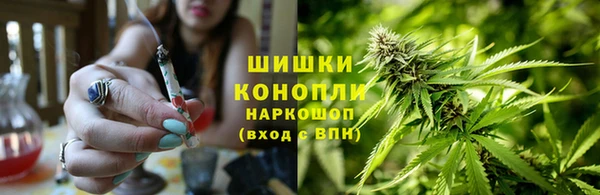 a pvp Касимов