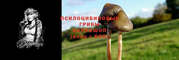 соль курить ск Карпинск