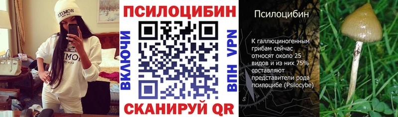 Галлюциногенные грибы GOLDEN TEACHER  купить наркотики цена  Стародуб 